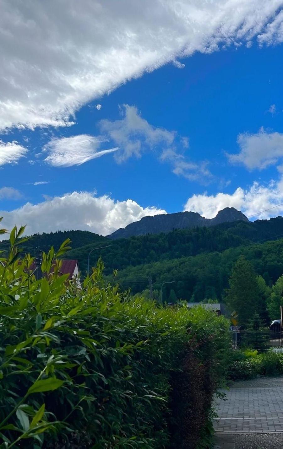 Dom Lesnik Apartment Zakopane Bagian luar foto