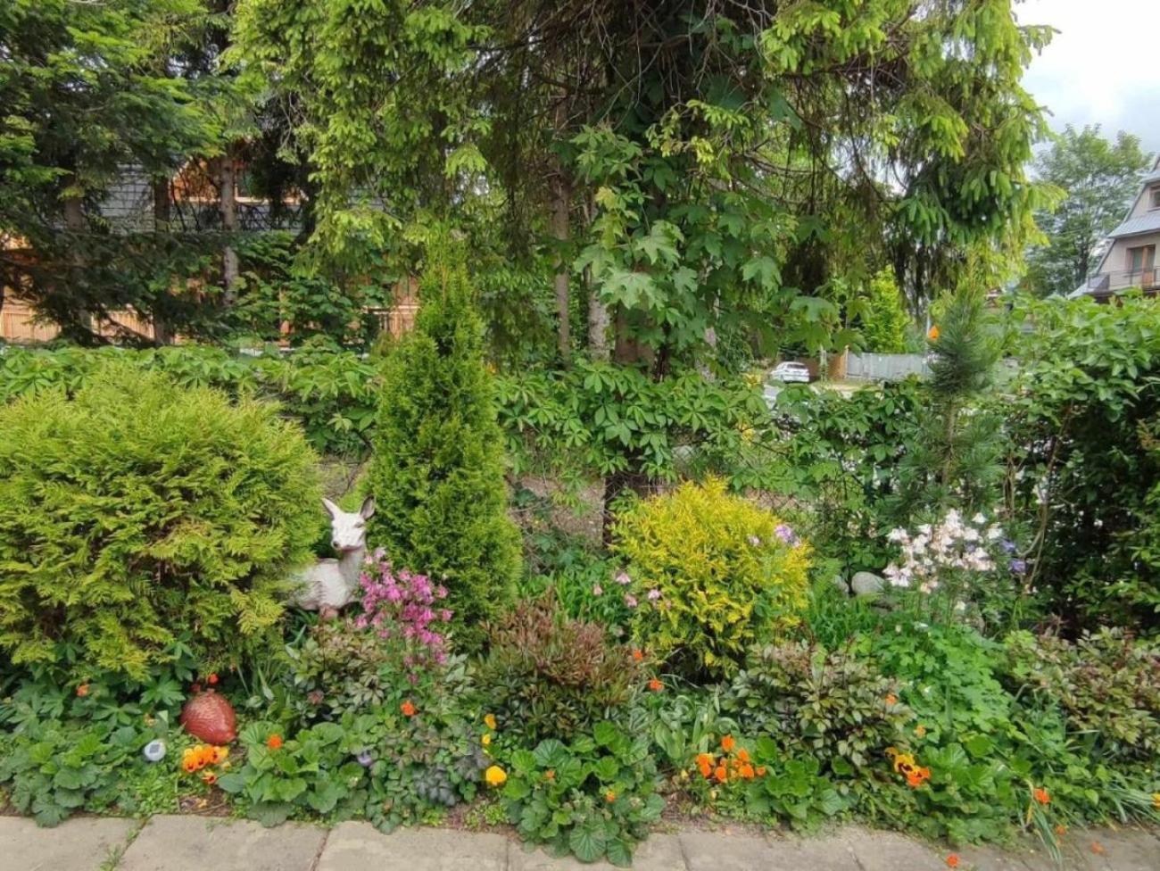 Dom Lesnik Apartment Zakopane Bagian luar foto