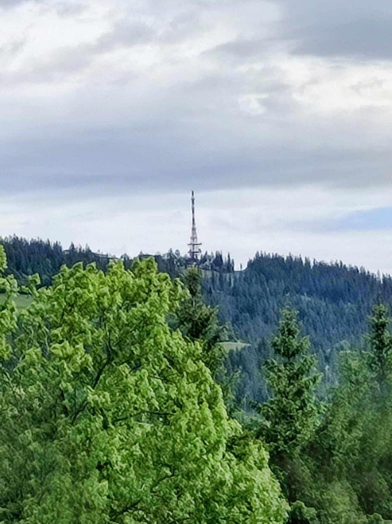 Dom Lesnik Apartment Zakopane Bagian luar foto