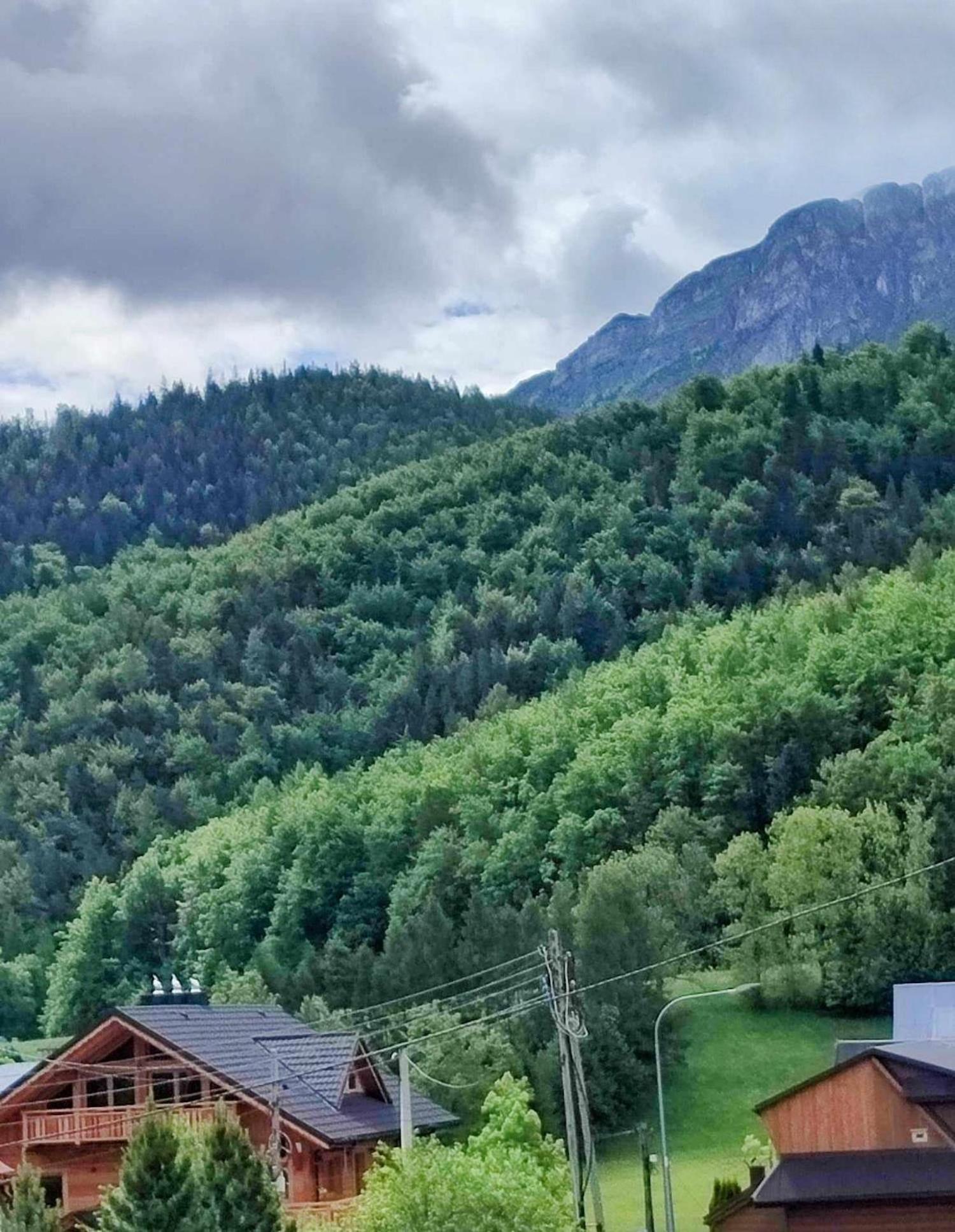 Dom Lesnik Apartment Zakopane Bagian luar foto