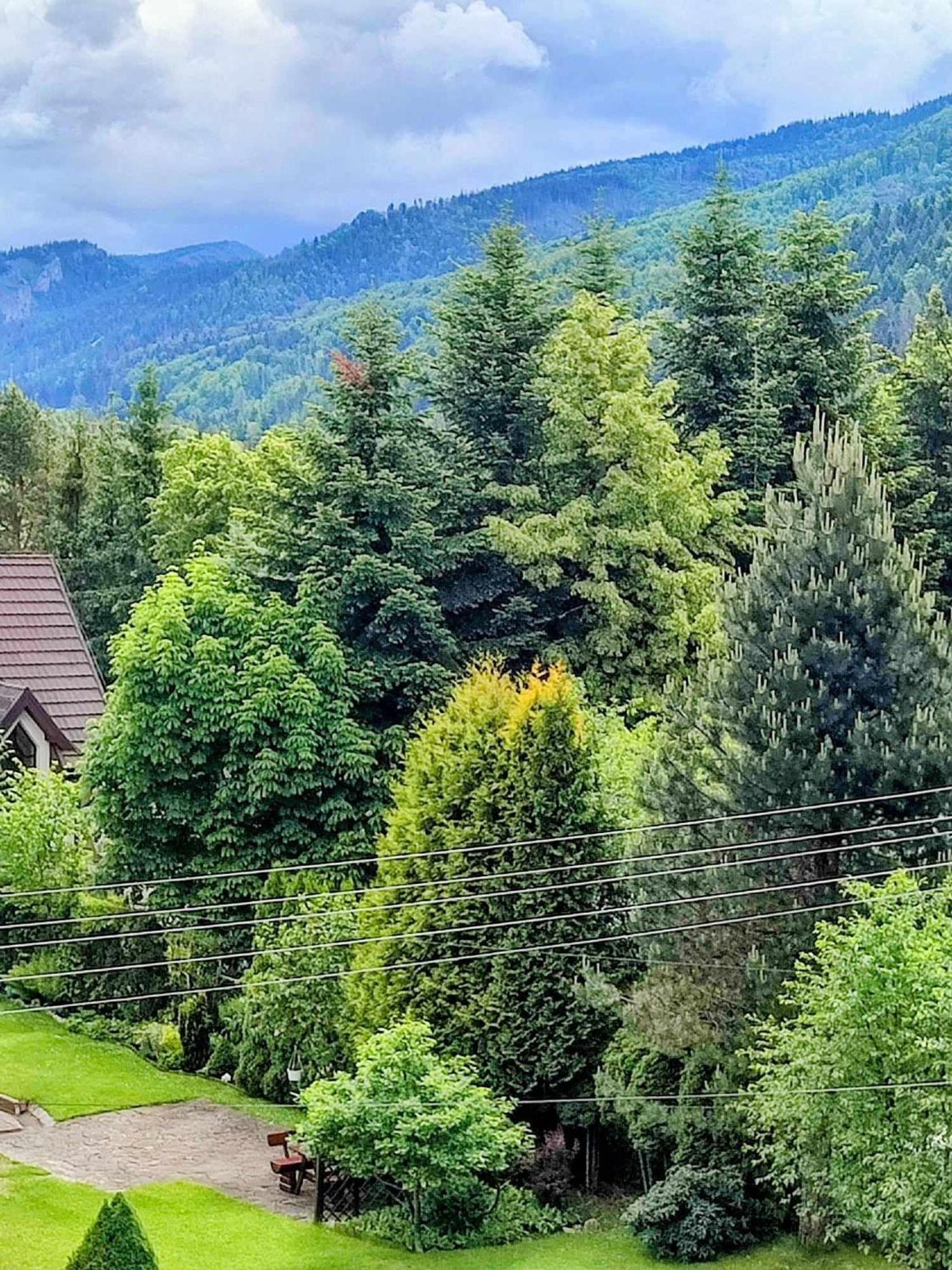 Dom Lesnik Apartment Zakopane Bagian luar foto
