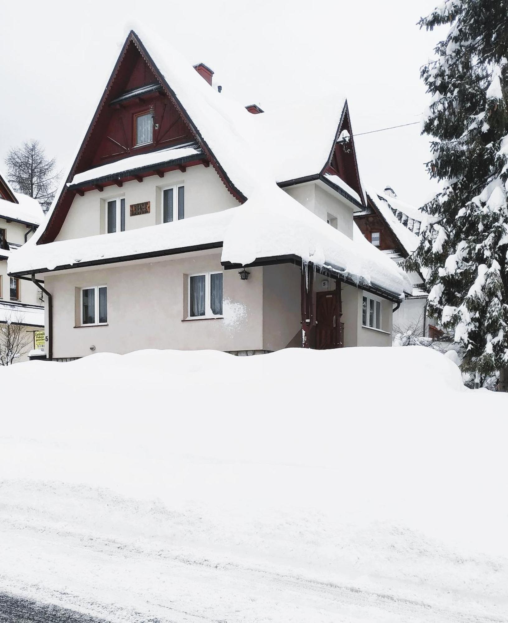 Dom Lesnik Apartment Zakopane Bagian luar foto