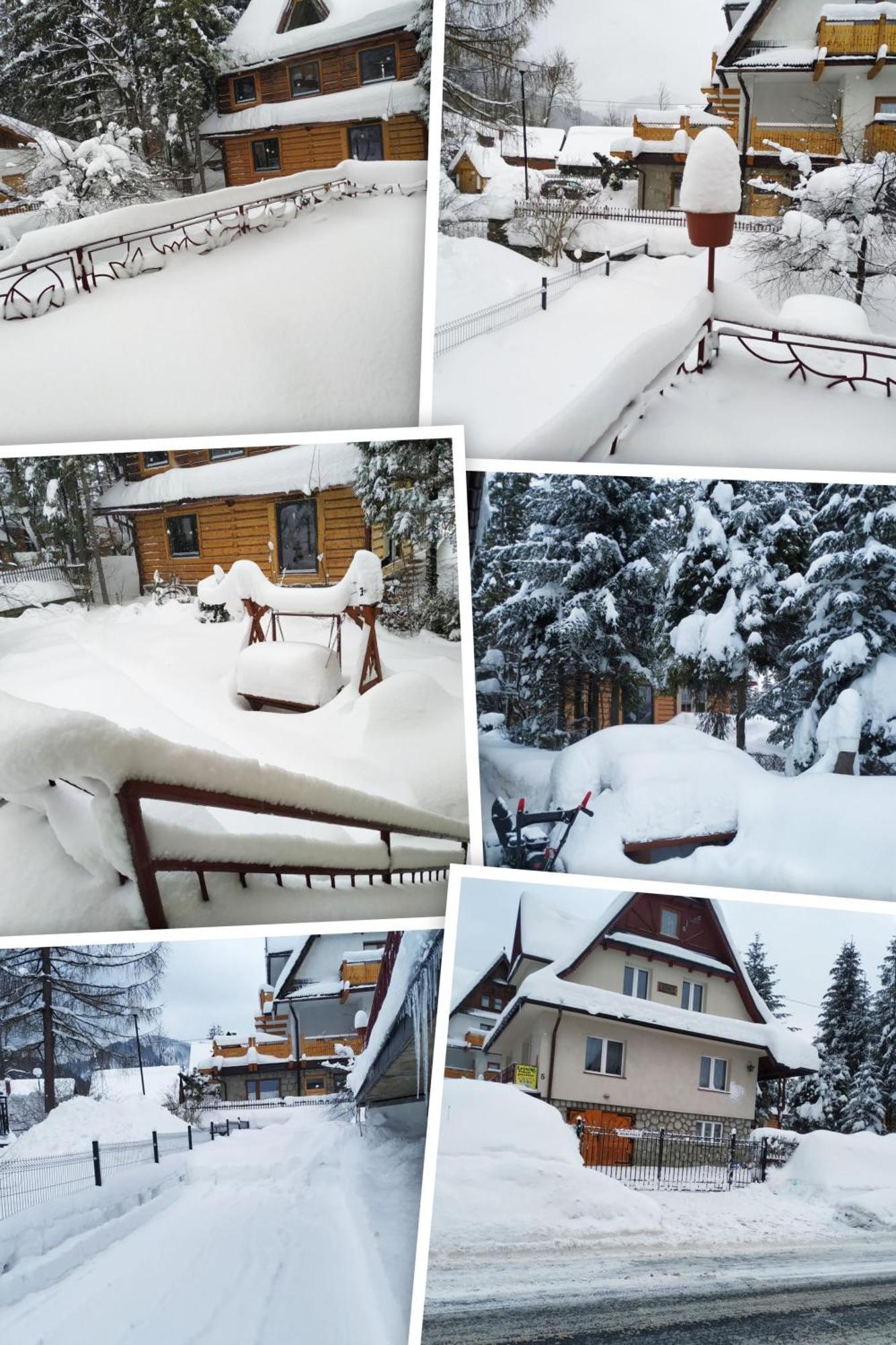 Dom Lesnik Apartment Zakopane Bagian luar foto